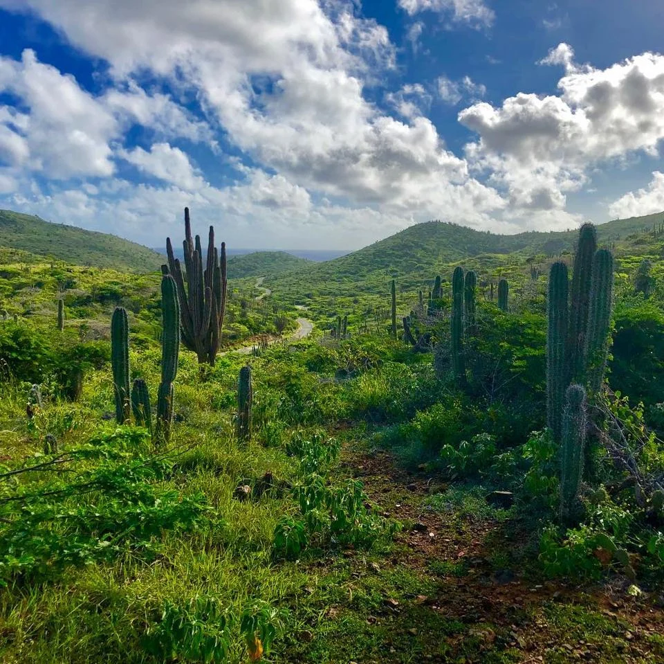 Hikes in Aruba